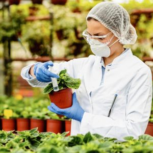 Biologist using syringe while nourishing potted flowers in plant nursery.